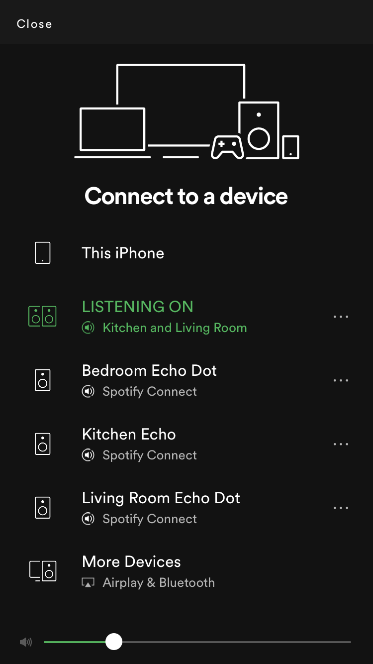 Cant See Amazon Echo Speaker Group On Spotify App